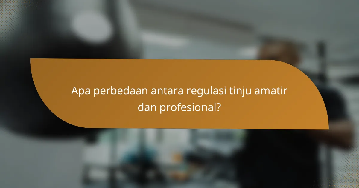 Apa perbedaan antara regulasi tinju amatir dan profesional?
