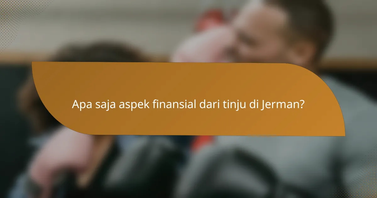 Apa saja aspek finansial dari tinju di Jerman?