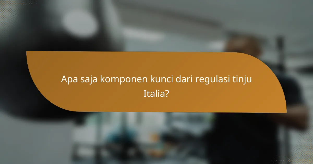 Apa saja komponen kunci dari regulasi tinju Italia?