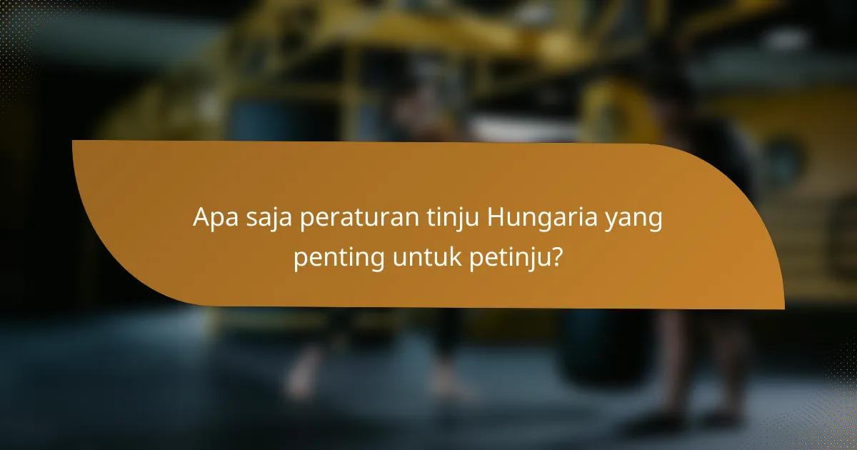 Apa saja peraturan tinju Hungaria yang penting untuk petinju?