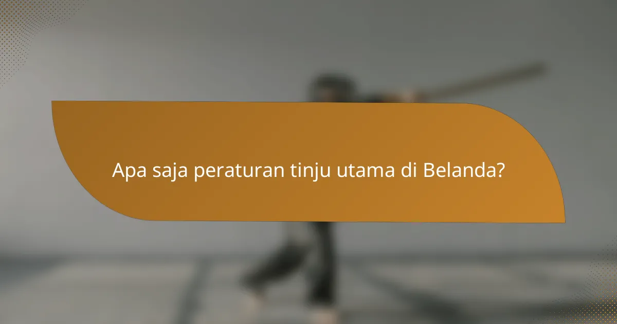 Apa saja peraturan tinju utama di Belanda?