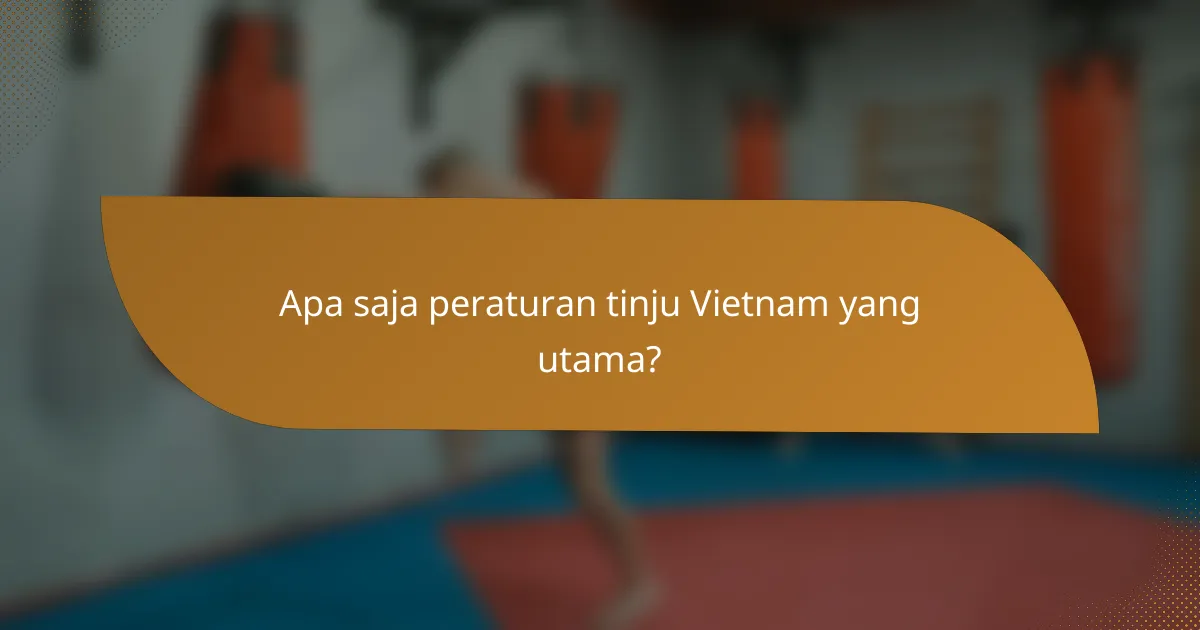 Apa saja peraturan tinju Vietnam yang utama?