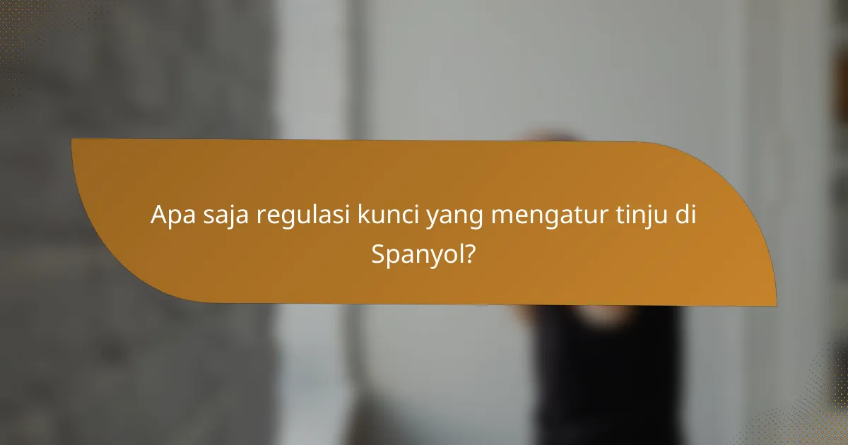 Apa saja regulasi kunci yang mengatur tinju di Spanyol?