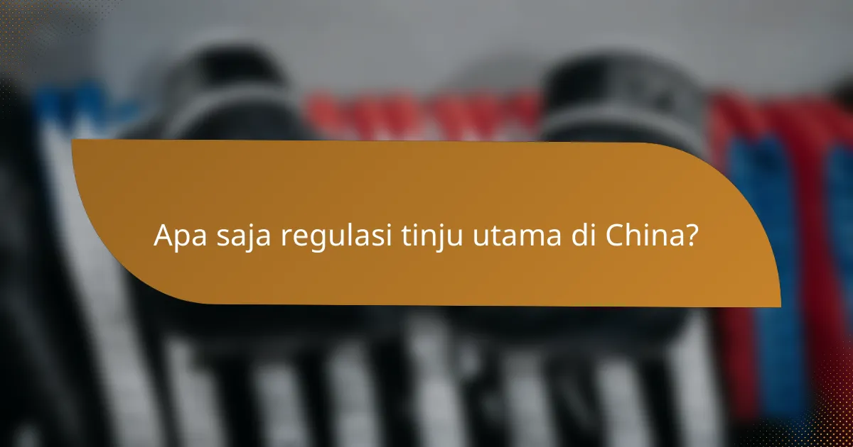 Apa saja regulasi tinju utama di China?