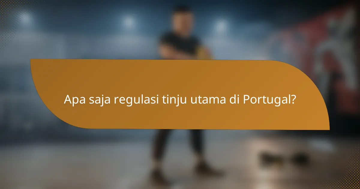 Apa saja regulasi tinju utama di Portugal?