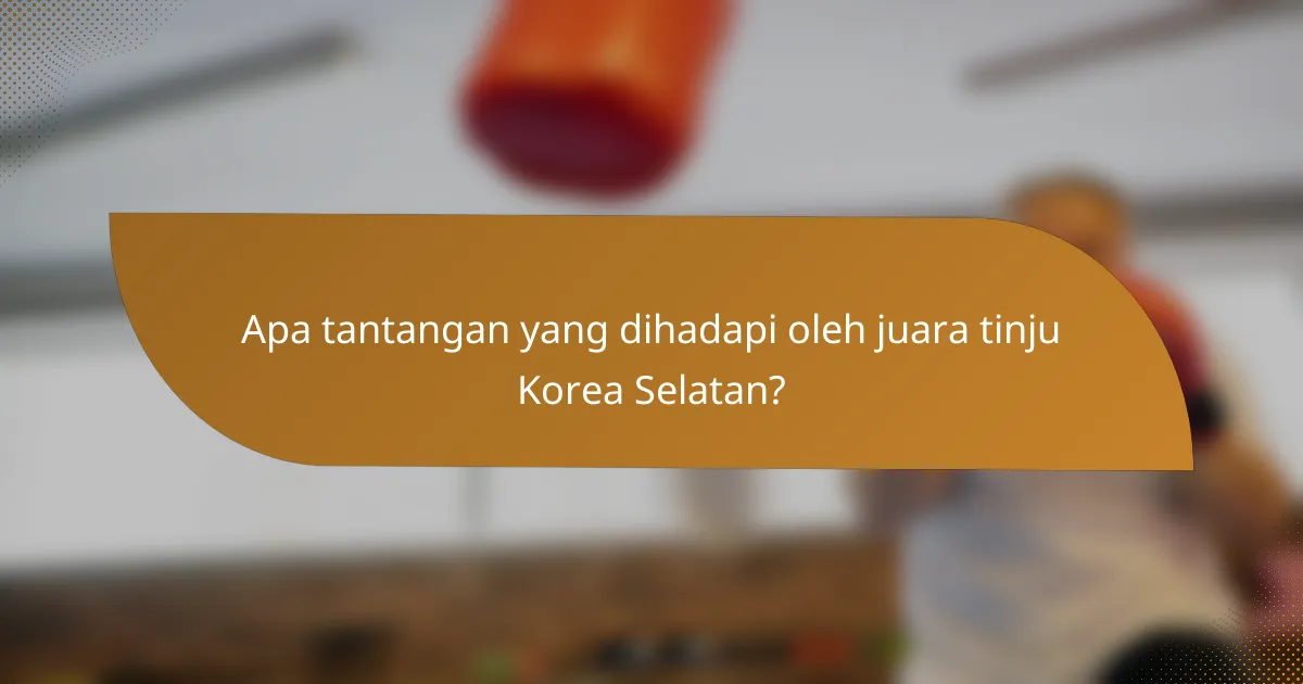Apa tantangan yang dihadapi oleh juara tinju Korea Selatan?