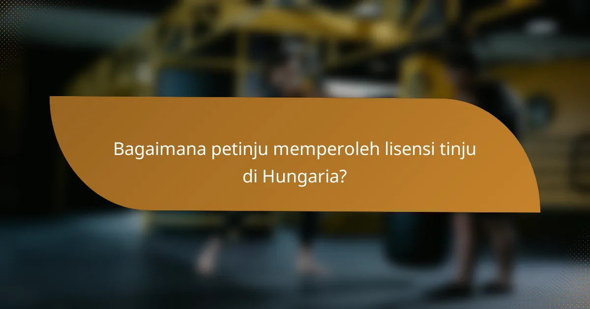 Bagaimana petinju memperoleh lisensi tinju di Hungaria?