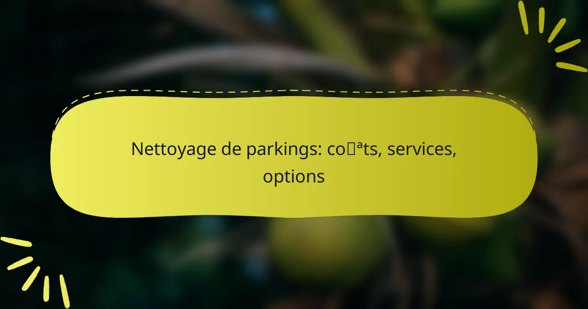 Nettoyage de parkings: coûts, services, options
