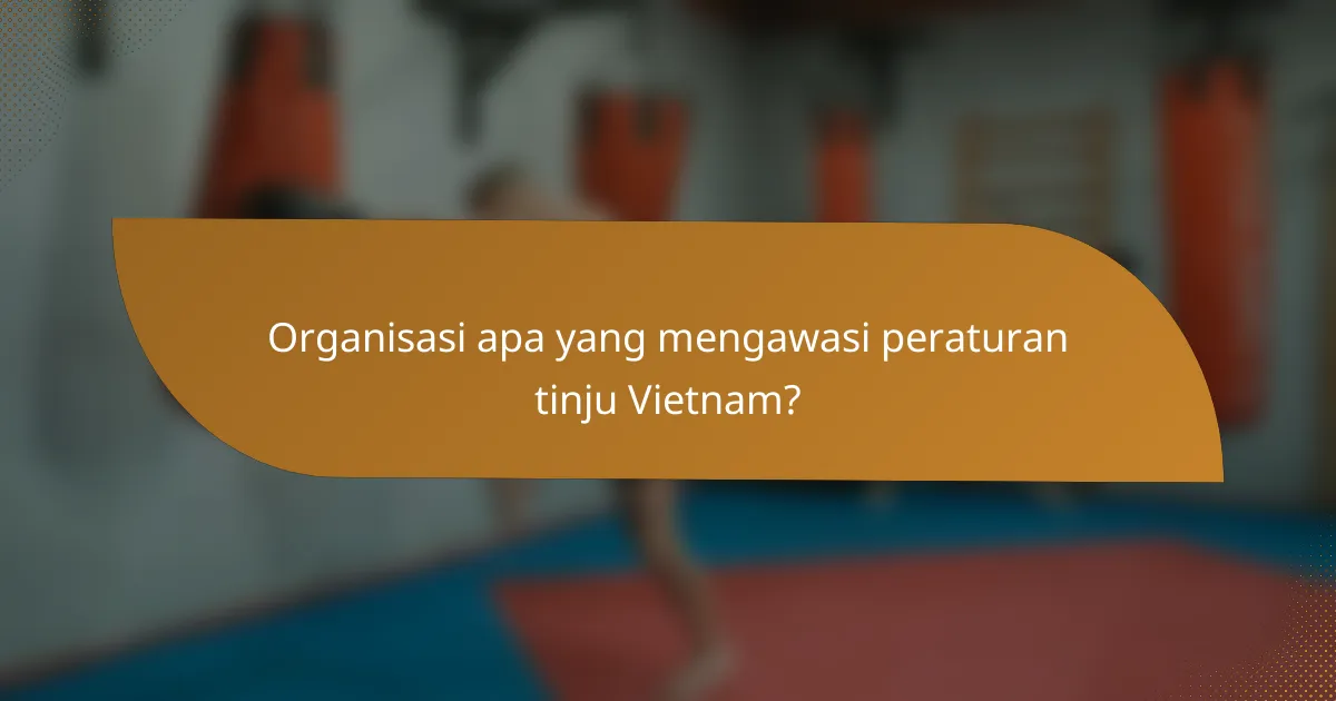 Organisasi apa yang mengawasi peraturan tinju Vietnam?
