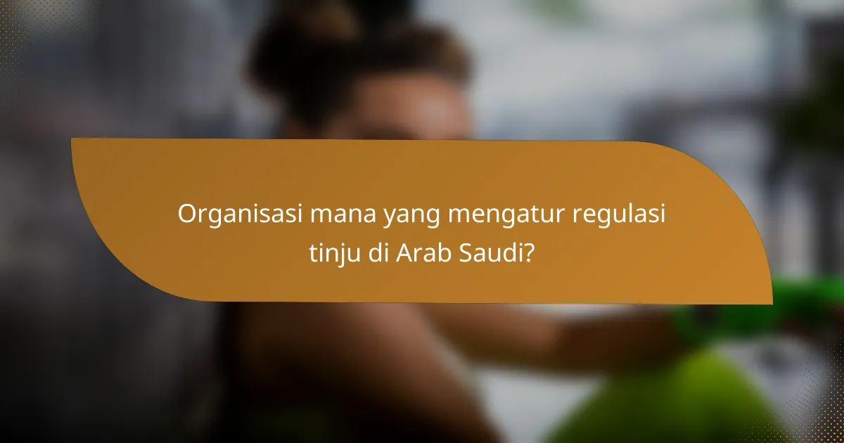 Organisasi mana yang mengatur regulasi tinju di Arab Saudi?