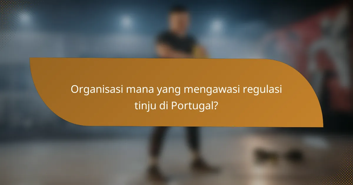 Organisasi mana yang mengawasi regulasi tinju di Portugal?